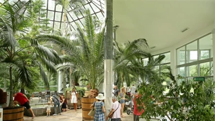 Nałęczów słynie z atrakcji dla kuracjuszy. Jedną z nich jest palmiarnia i pijalnia wód mineralnych w Domu Zdrojowym