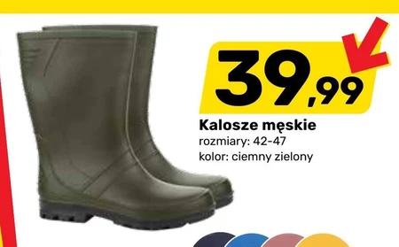 Kalosze