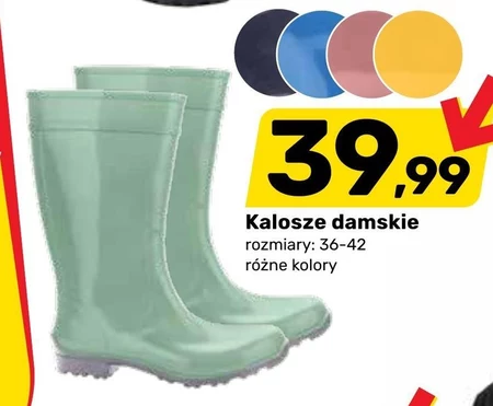 Kalosze