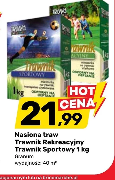 Nasiona trawy Granum