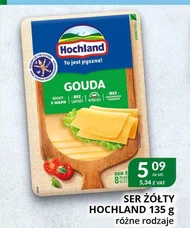 Ser Hochland