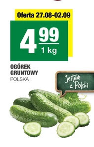 Ogórek Polski