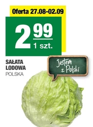 Sałata lodowa Polski