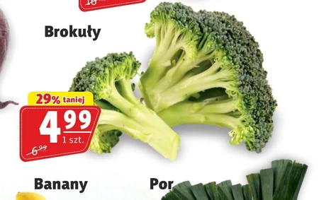 Brokuł