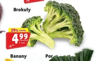 Brokuł