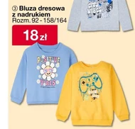 Bluza dresowa