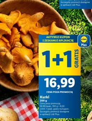 Петухи Plus-Plus