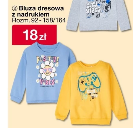 Bluza dresowa