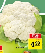 Kalafior