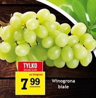 Winogrona Białe