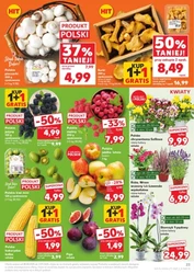 Роздрібна пропозиція Kaufland