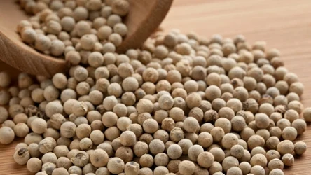 Zbyt rzadko stosujemy tę przyprawę w naszej kuchni. 