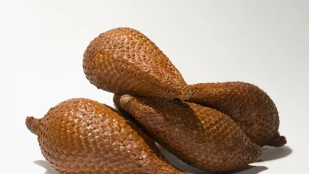 Salaka jadalna nazywana także wężowym owocem ze względu na skórkę przypominającą skórę popularnego beznogiego gada