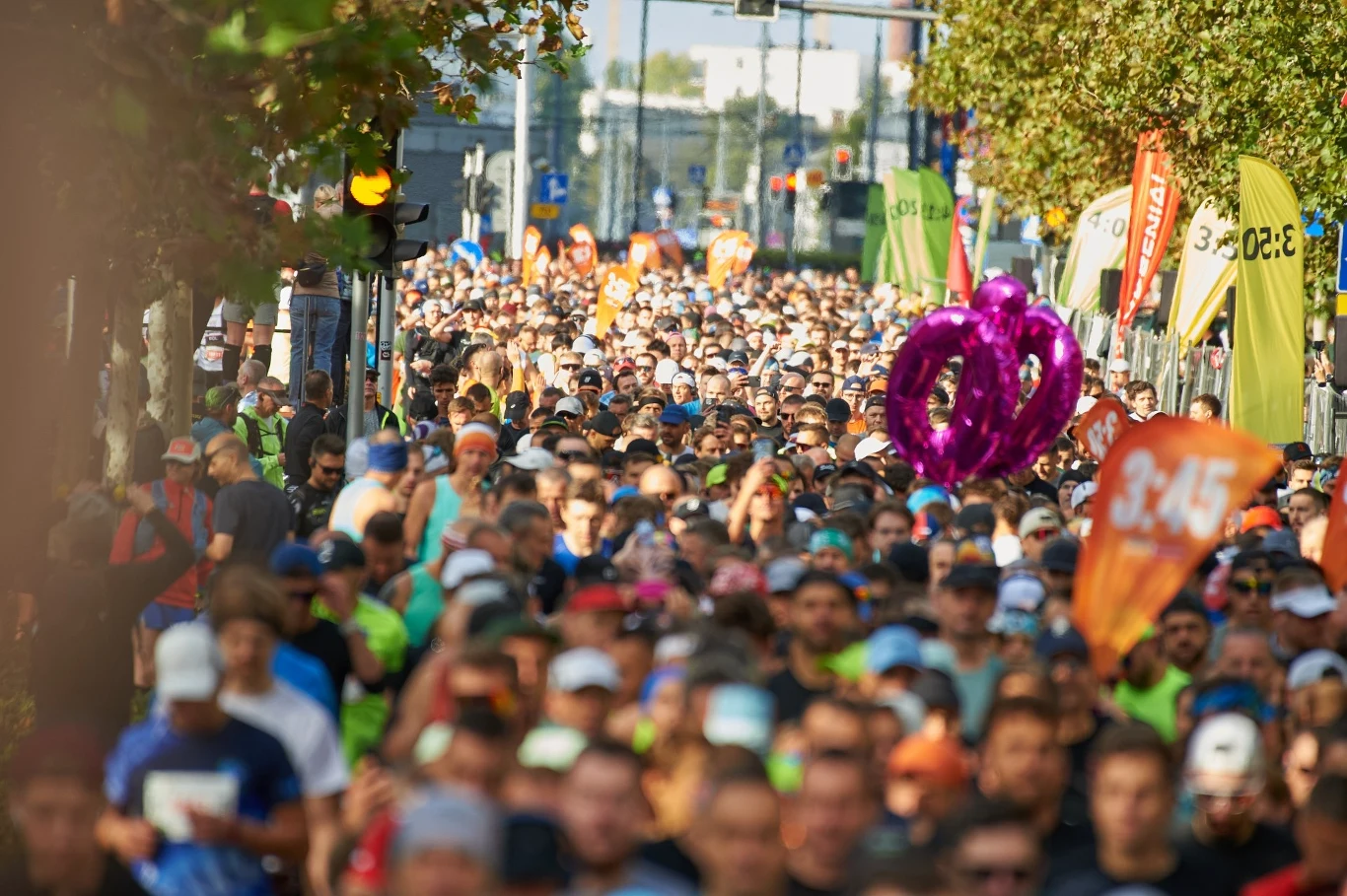 Maraton Warszawski Tłum uczestników biegu ulicznego na starcie, widoczne kolorowe balony, transparenty z czasami oraz zielone drzewa w tle.