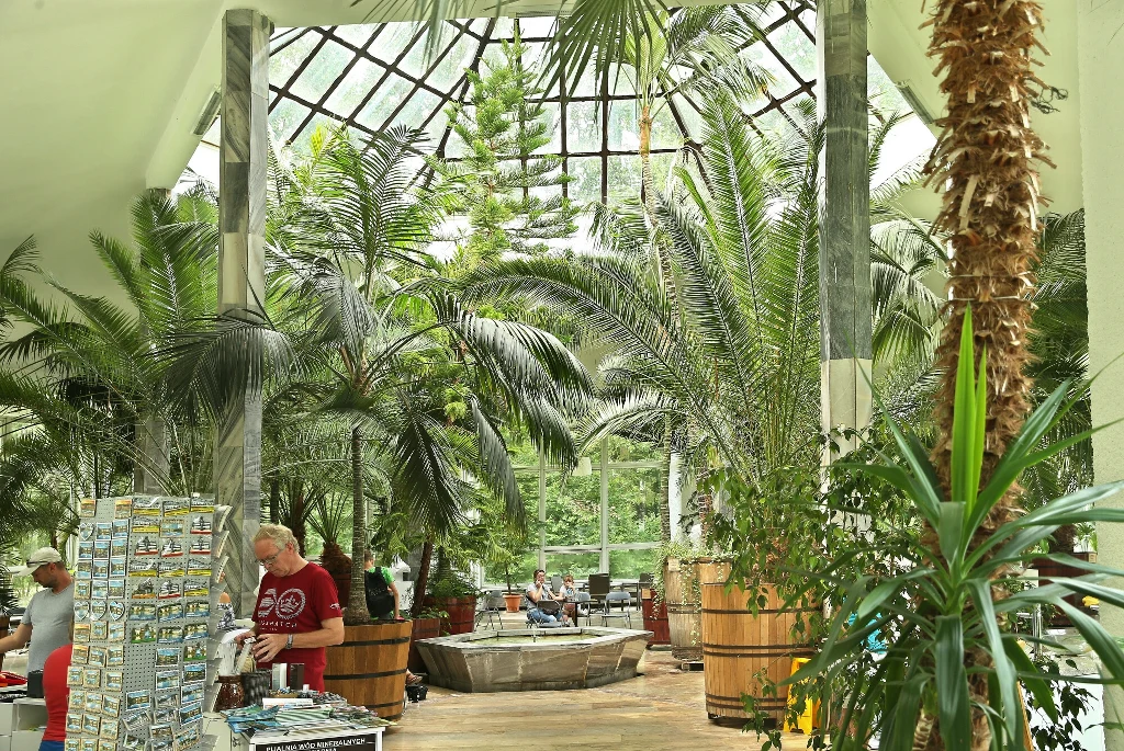 Przestronne wnętrze oranżerii wypełnione licznymi palmami i roślinami tropikalnymi, z ludźmi przeglądającymi pamiątki oraz osobami odpoczywającymi na ławkach, pod wysokim przeszklonym dachem.