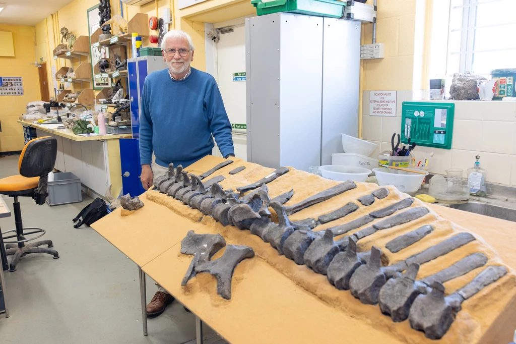 Emeryt Jeremy Lockwood odkrył w zbiorach muzeum nowy gatunek dinozaura Emeryt Jeremy Lockwood odkrył w zbiorach muzeum nowy gatunek dinozaura