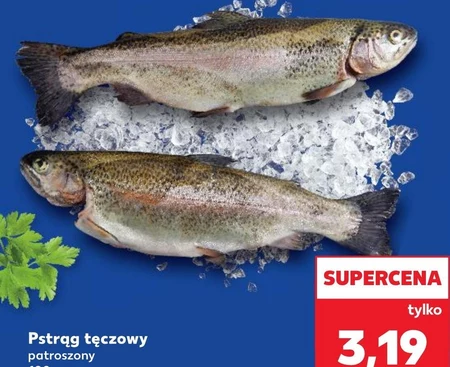 Pstrąg tęczowy Auchan