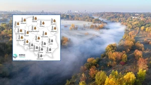 Pogoda 1 września może być ciepła, ale deszczowa. Cały miesiąc może być cieplejszy niż zazwyczaj