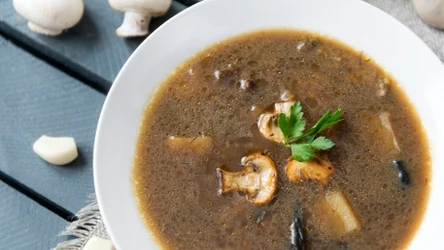 Piaskowiec modrzak to rzadko spotykany grzyb, który świetnie sprawdzi się do zup 