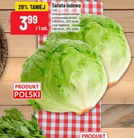 Sałata lodowa Polski