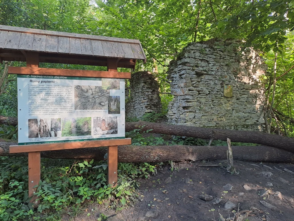 Ruiny starego kamiennego budynku ukryte wśród zieleni, obok nich drewniana tablica informacyjna z fotografiami i opisem związanym z dawnym papiernią, otoczenie leśne, kilka powalonych pni drzew.