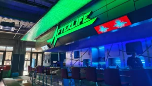 Afterlife / źródło: Reddit, u/Kevinw2077