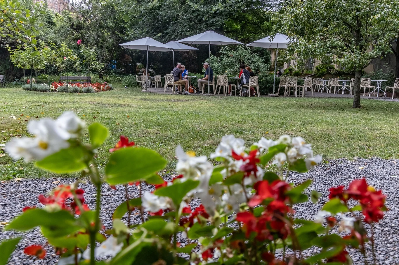 Kolorowe kwiaty na pierwszym planie, w tle ogród z zielonym trawnikiem i drzewami oraz stoliki z parasolami, przy których siedzą ludzie rozmawiający i odpoczywający w cieniu.