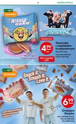Ценопад у Жабці