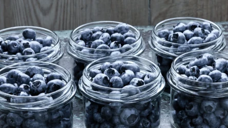 Spróbuj raz przechować borówki w słoikach, a już nigdy nie zastosujesz innej metody