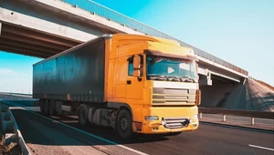 Co 9. ciężarówkę prowadzi kobieta. Ciekawe statystyki w europejskim kraju