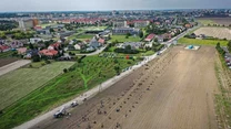 Liczne osoby sadzące drzewa na dużym polu, otoczone nowoczesnym osiedlem oraz niską zabudową mieszkalną, w tle rozległe tereny miejskie i wiejskie.
