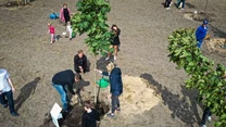 Grupa ludzi, w tym dzieci i dorośli, sadzi młode drzewa na przygotowanym, piaszczystym terenie. Obok stoją akcesoria do sadzenia oraz doniczka z wodą. W tle kilku innych uczestników bierze udział w podobnej aktywności.