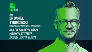 Prehistoryczne skarby w Polsce. Ekspert zdradził, gdzie jest ich najwięcej