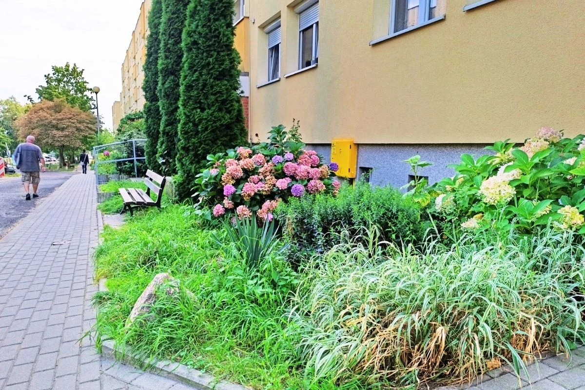 Kolorowe rabaty kwiatowe przy blokach mieszkalnych, ławka, dorosły mężczyzna idący chodnikiem, wysokie iglaki oraz zadbane trawniki.