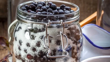 Już 100 ml soku z aronii dziennie pomaga obniżyć cholesterol