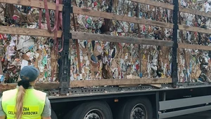 Jechał ze Szwecji do Polski. 25 ton śmierdzących śmieci zamiast makulatury