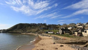 Fale morskie wyrzucają na brzeg coraz więcej ssaków