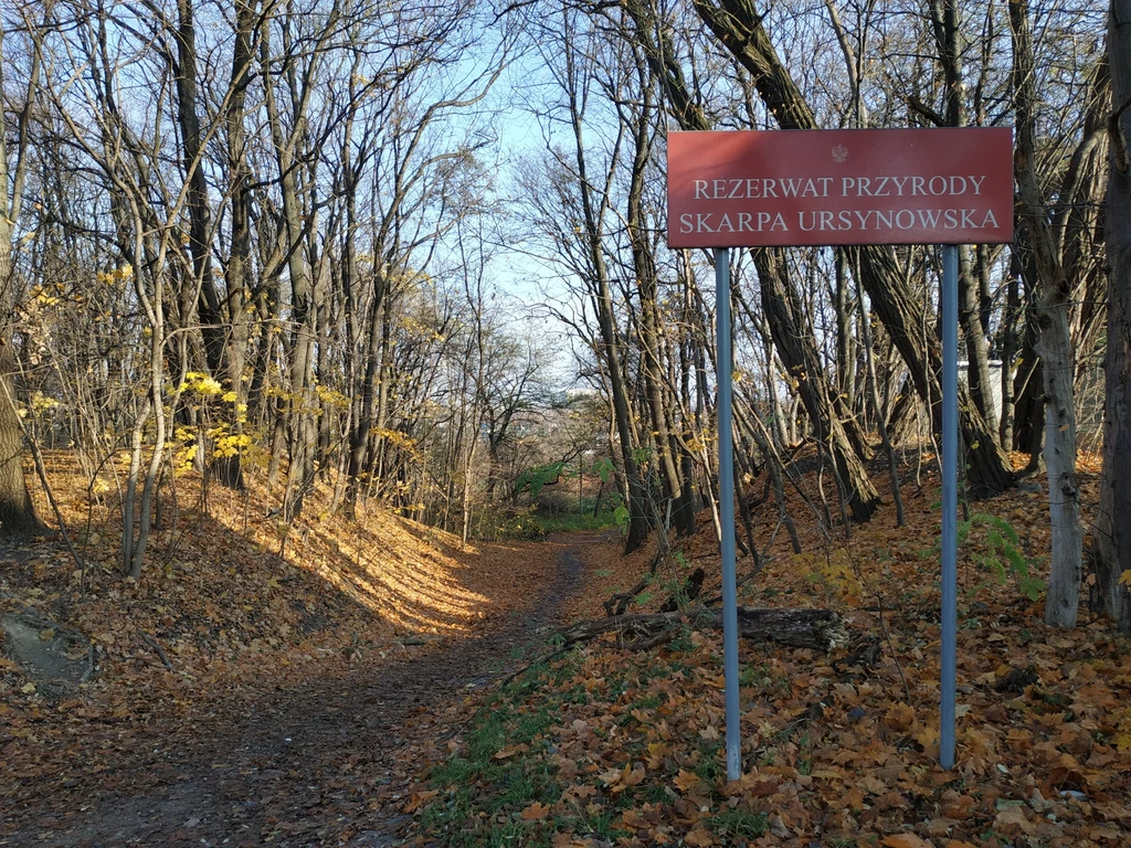 Rezerwat będzie zamknięty do odwołania