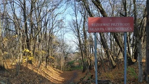 Rezerwat zamknięty do odwołania. Powodem jest to, co robią spacerowicze