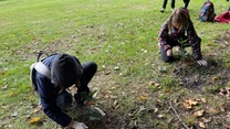 Dwoje dzieci w kurtkach i rękawiczkach sadzi rośliny w ziemi na trawniku, wokół widoczne są liście oraz plecaki.