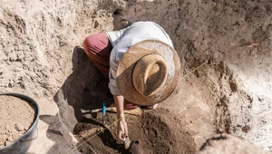 Archeolodzy znaleźli ludzką szczękę sprzed 1,8 miliona lat