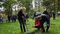Grupa ludzi sadząca drzewa w zielonym parku; dwie osoby kopią dołek łopatami, inne pomagają lub obserwują, wokół rozciąga się gęsty las i trawiasta polana.