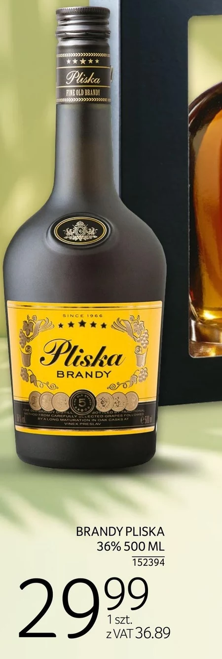 Brandy Pliska