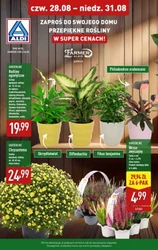 Пропозиція вихідного дня! - Aldi