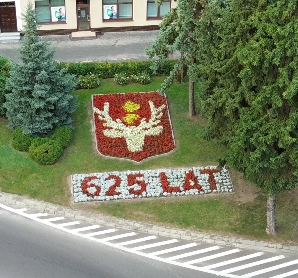 Herb z białym jeleniem oraz żółtym elementem nad głową jelenia ułożony z kwiatów na trawniku, poniżej napis 625 LAT z czerwonych kwiatów na tle białych kamieni, otoczenie zieleni i drzewa obok chodnika.