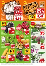 Mocny Start - Kaufland