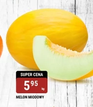 Melon