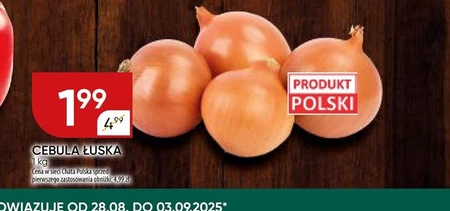 Цибуля Chata polska