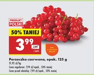Червона смородина Polski