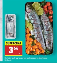Pstrąg tęczowy